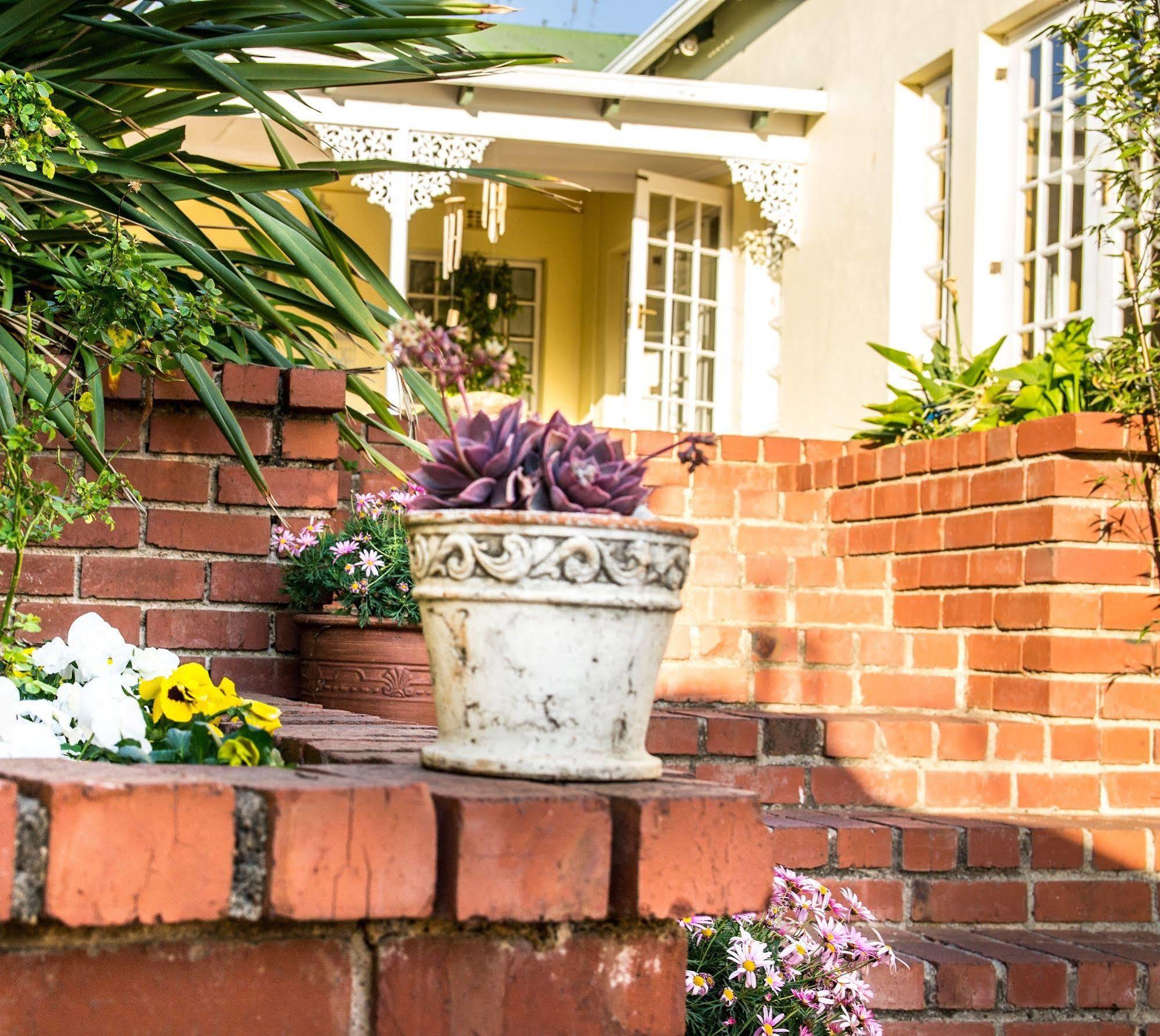 Arum Place Guest House Johannesburg Ngoại thất bức ảnh